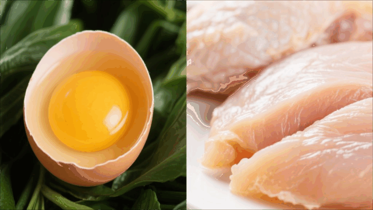 雞蛋VS雞肉營養大PK！誰才是真正的蛋白質王者？